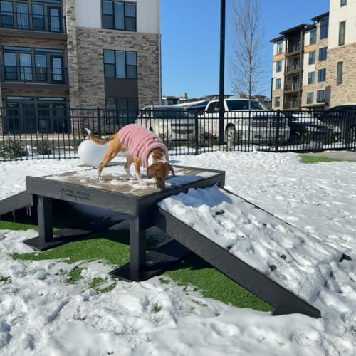 Bridge Climb preview 4