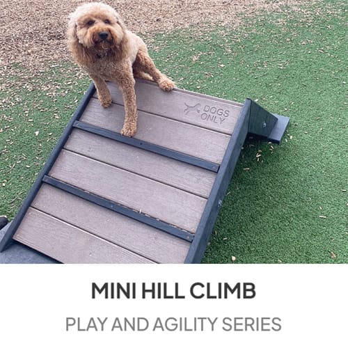 Mini Hill Climb