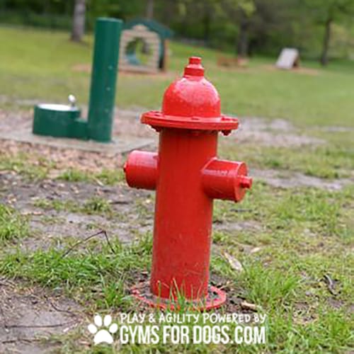 Fire Hydrants preview 3