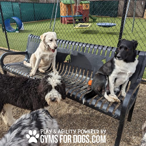 Benches preview 1