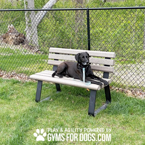 Benches preview 11