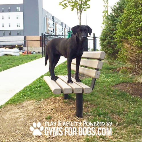 Benches preview 15