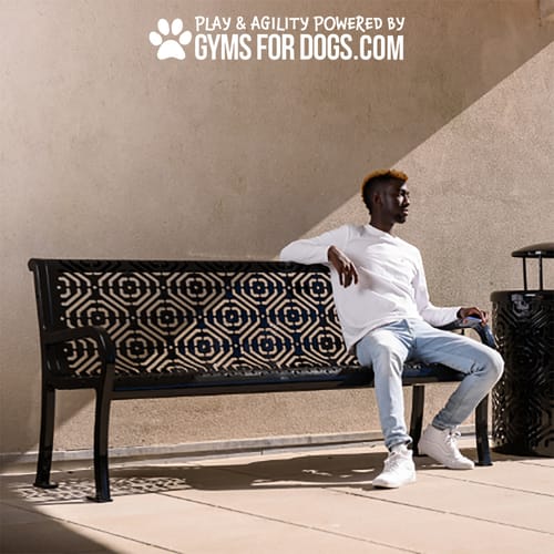Benches preview 19