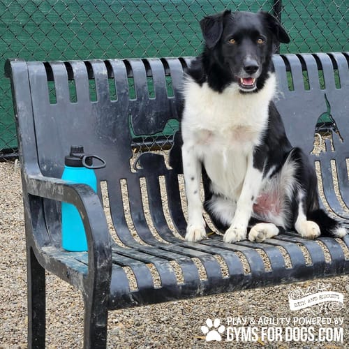 Benches preview 27