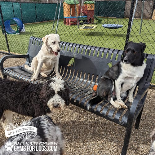 Benches preview 28
