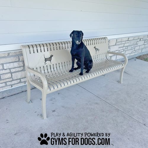 Benches preview 30