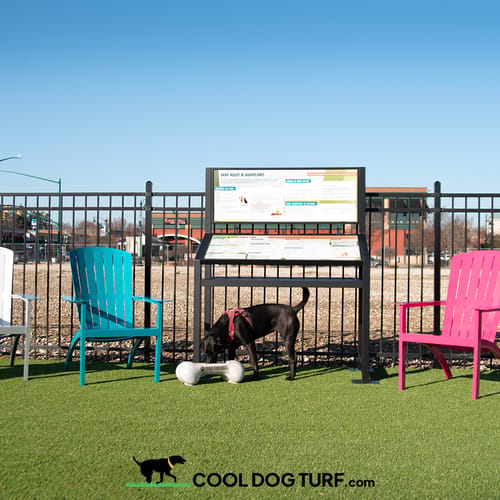 Cool Dog Turf preview 8