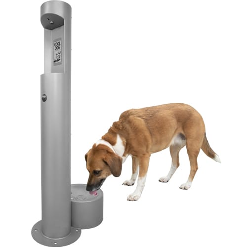 Cool Dog Water Fountains preview 2