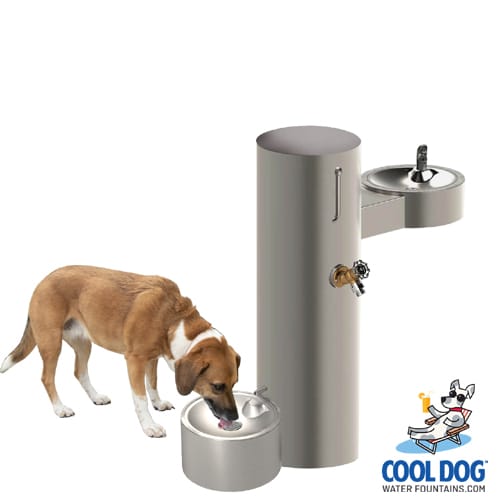 Cool Dog Water Fountains preview 17