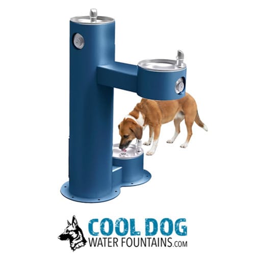 Cool Dog Water Fountains preview 32