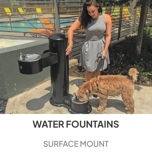 Cool Dog Water Fountains