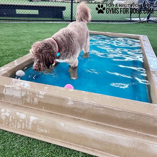 Cool Dog Splash Pool preview 15
