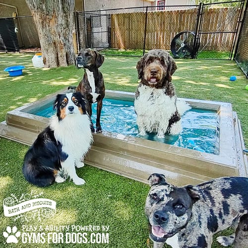 Cool Dog Splash Pool preview 26