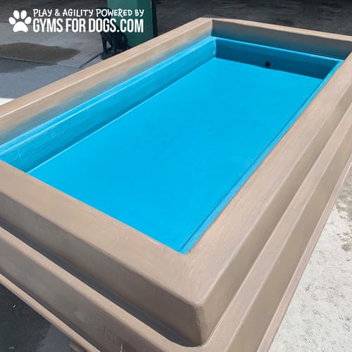 Cool Dog Splash Pool preview 48