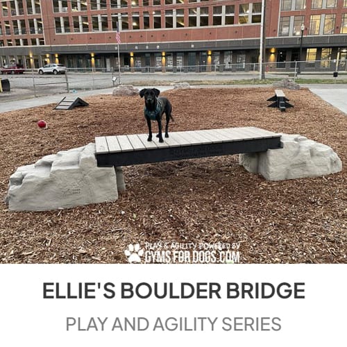 Ellie's Boulder Bridge