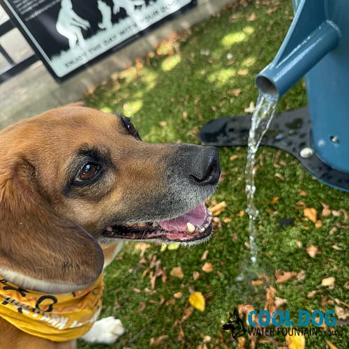 Fresh Flow Water Fountains preview 3