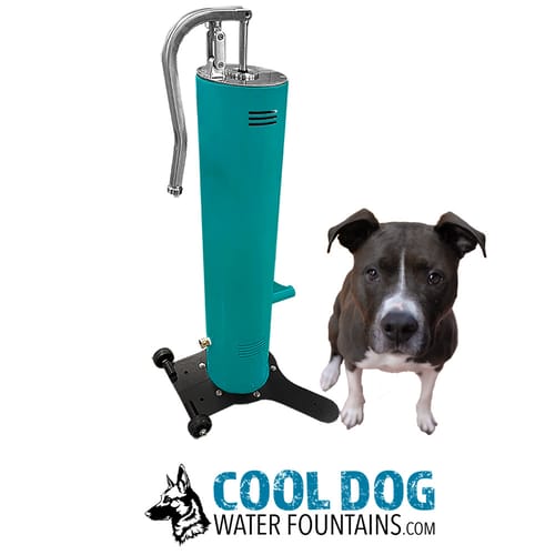 Fresh Flow Water Fountains preview 11