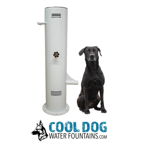 Fresh Flow Water Fountains preview 23