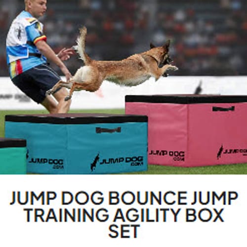 Jump Dog - Indoor Play & Train