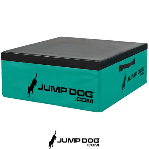 Jump Dog - Indoor Play & Train preview 6