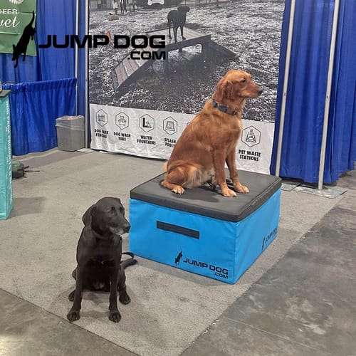 Jump Dog - Indoor Play & Train preview 14