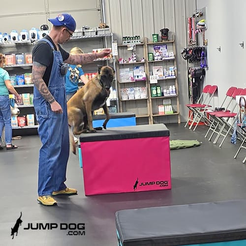 Jump Dog - Indoor Play & Train preview 20