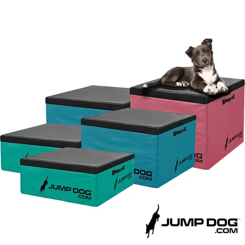 Jump Dog - Indoor Play & Train preview 27