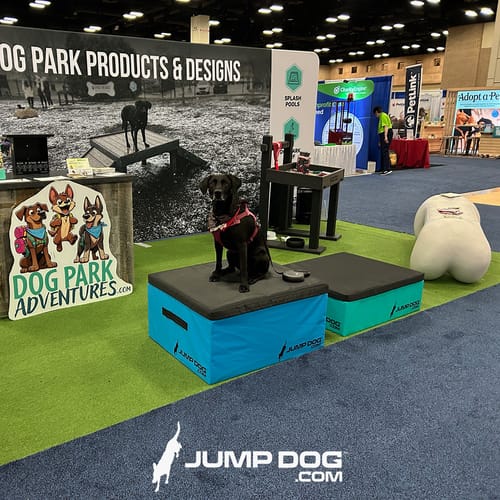 Jump Dog - Indoor Play & Train preview 44