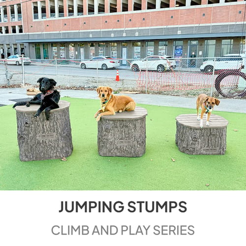 Jump Dog Jumping Stumps