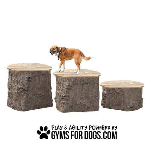 Jump Dog Jumping Stumps preview 13
