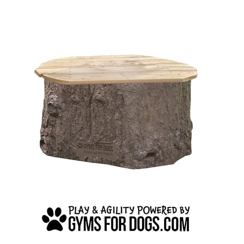 Jump Dog Jumping Stumps preview 15