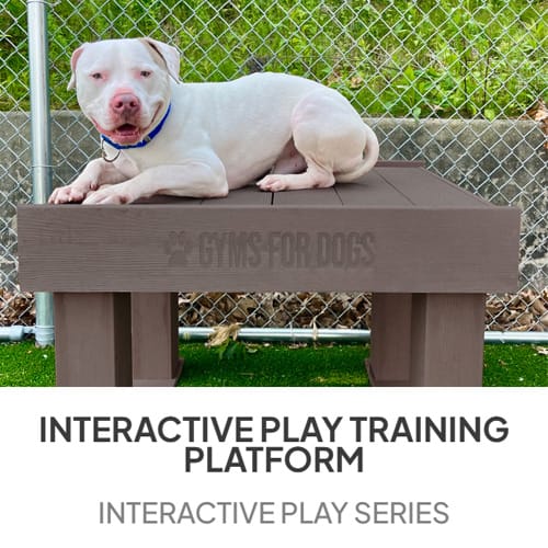 Training Platform - Interactive Play Series