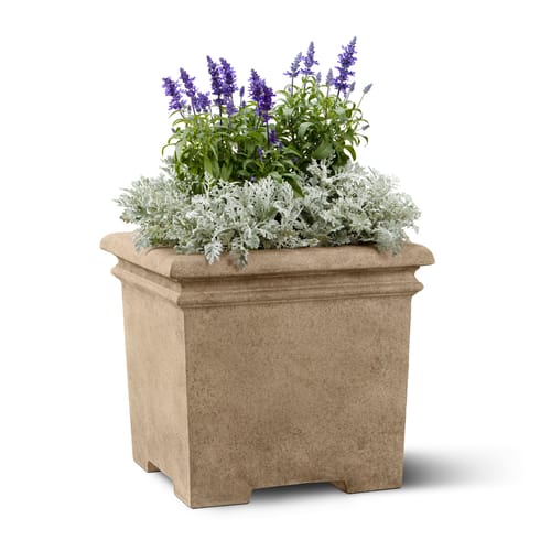 Palace Planter