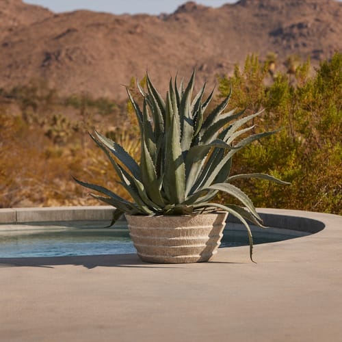 Fusso Planter preview 3