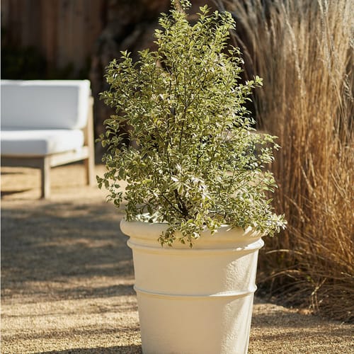 Banded Planter preview 2