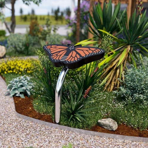 Butterfly preview 2