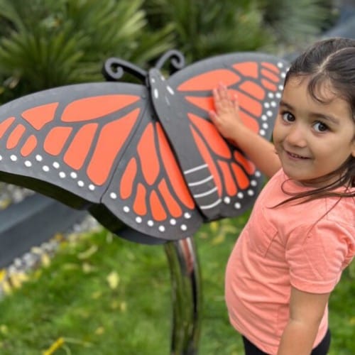 Butterfly preview 3