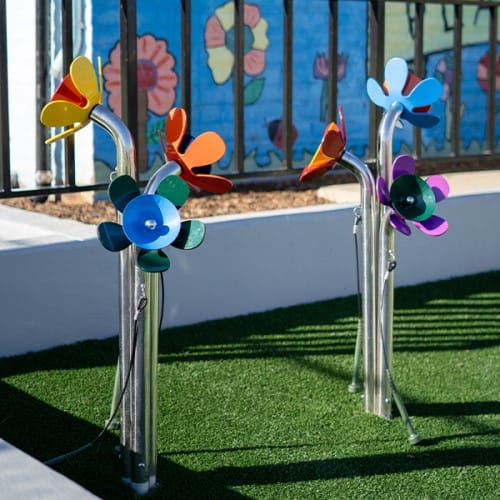 Harmony Flowers