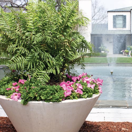 Strobile Planter preview 3