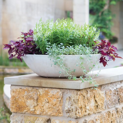60" Modern Bowl Planter preview 3
