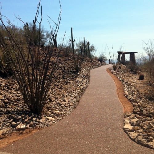Trail Systems