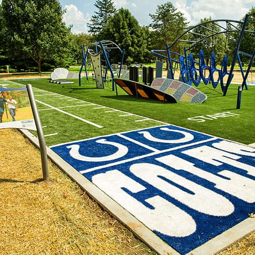 Synthetic Turf