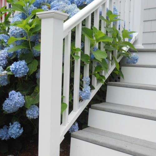 Titan Pro Rail® preview 4