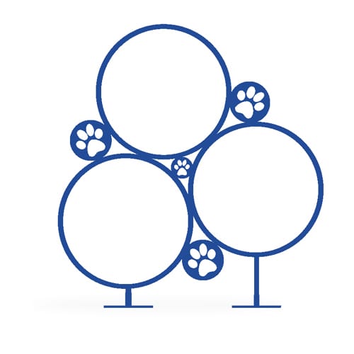 Agility Components