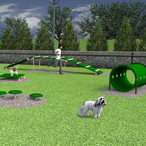 Small Dog Advanced Course, 6 Pieces (BARK-SMAKIT) preview 2