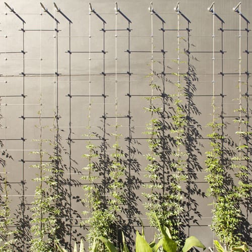 Wall Trellis Systems: System Bern, System Geneva, System Zürich, System Trellis Webnet 