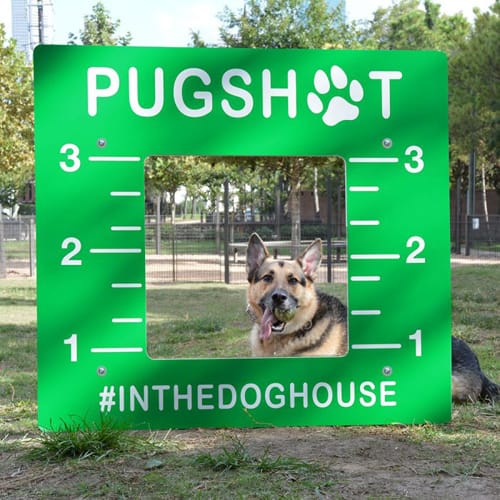 Dog Park Photo Panel – Pugshot (PAWPBK2REDG)