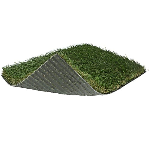 Costal Cut