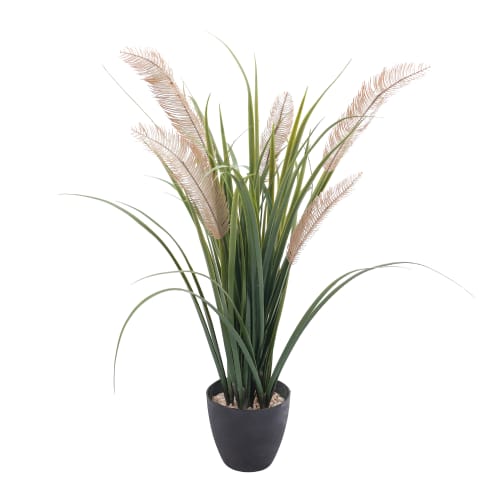 Potted Grasses