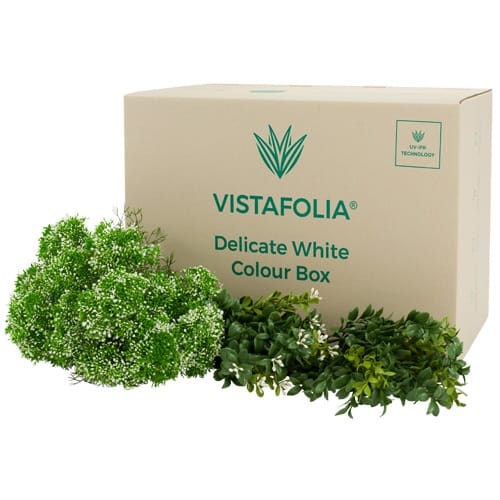 Delicate White Color Box/Finishing Foliage